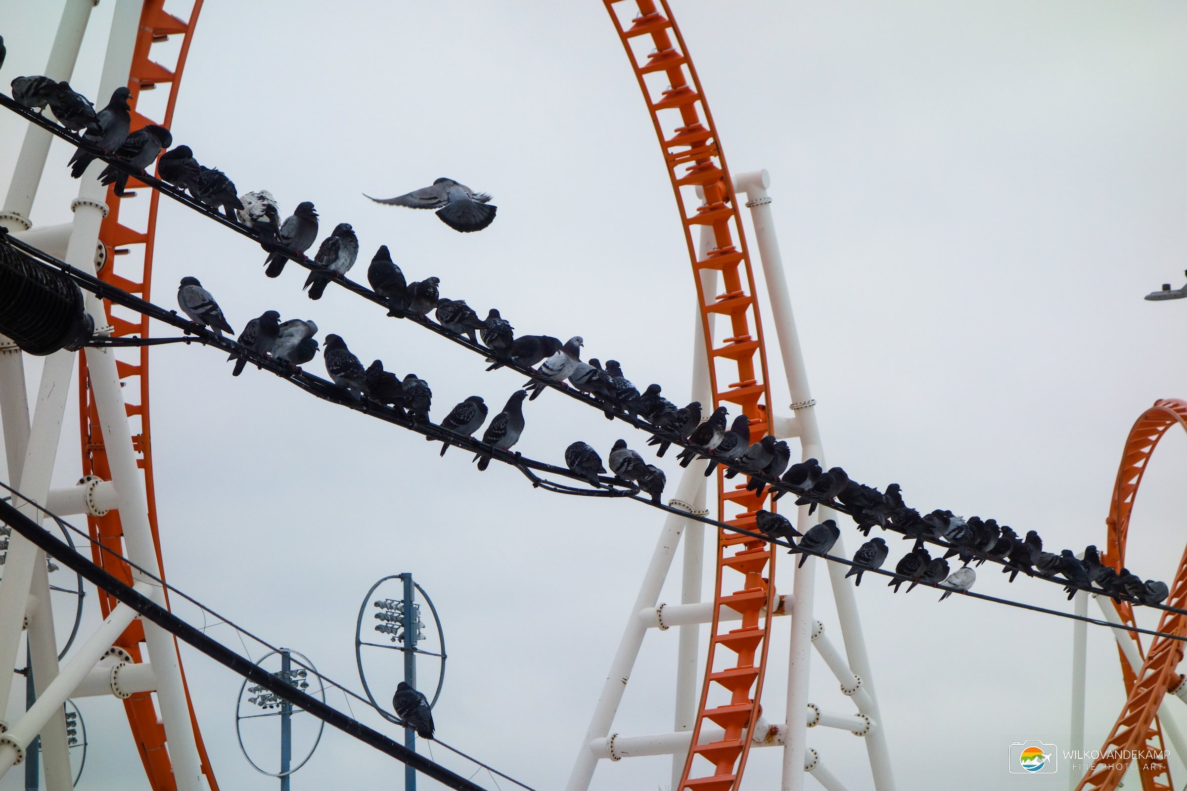Coney Island