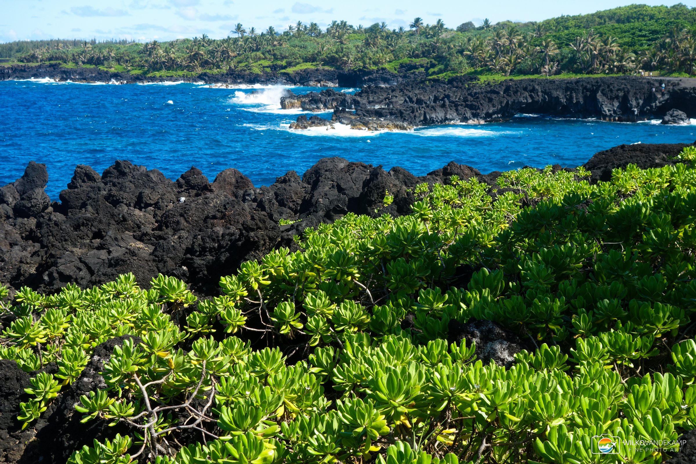 North Shore