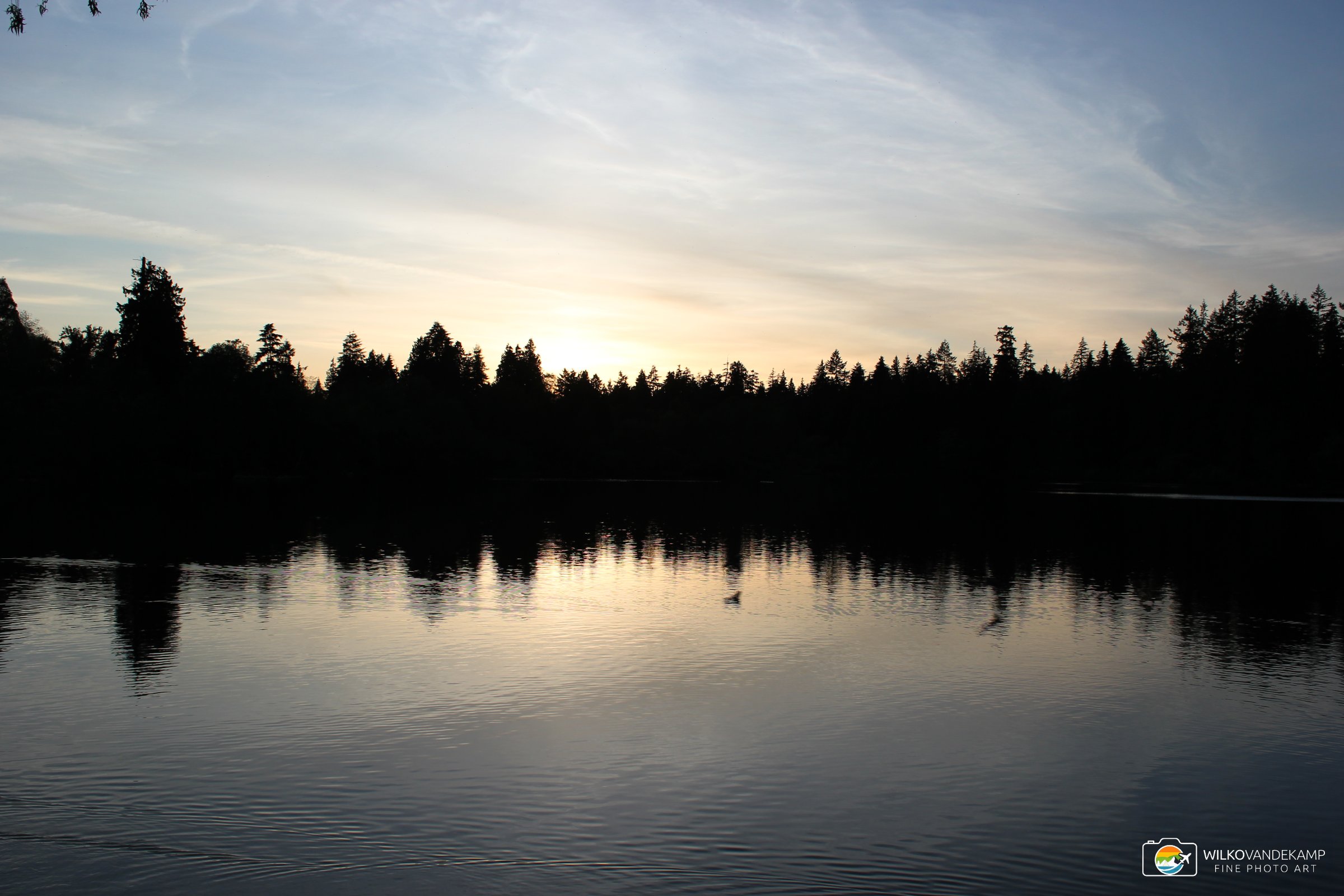 Lost Lagoon