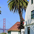 Crissy Field